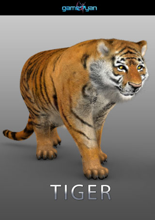 3d-tiger-animal-character-modeling